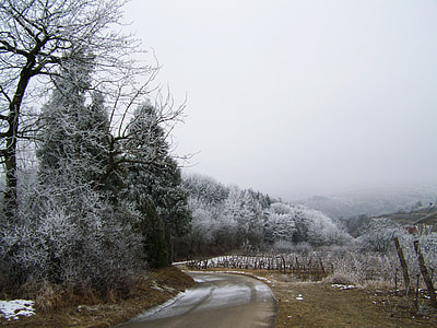Winter Landscape, Nature thumbnail