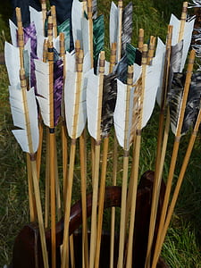 brown-and-white arrow lot thumbnail