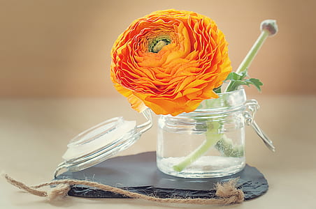 orse flower on canister thumbnail