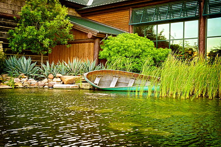Teal Wooden Boat Near River thumbnail