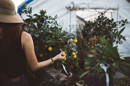 girl wearing black sleeveless top holding yellow fruit thumbnail