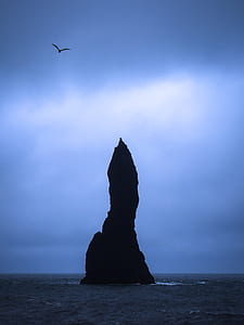 bird flying over rock island in the middle of the ocean during day thumbnail