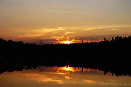 silhouette photography of tree with body of water thumbnail