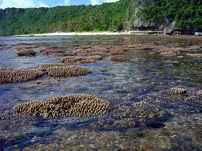 Guam Bay with rocks and Coral thumbnail