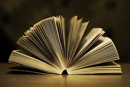Open Book Pages thumbnail