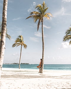 woman in bikini against the coconut tree near the beach thumbnail