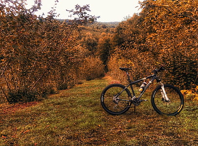black hardtail bike parked upright near brown trees during daytime thumbnail