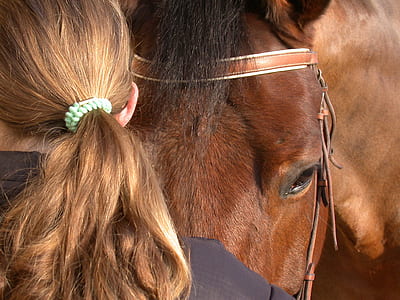 person stands near brown horse thumbnail