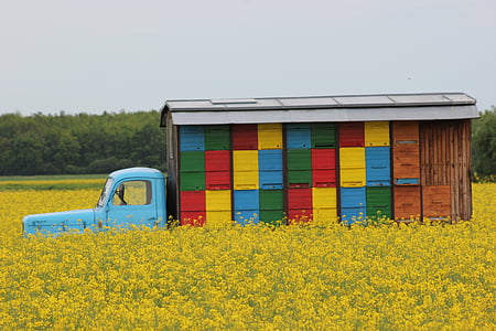 box truck beside flowers thumbnail