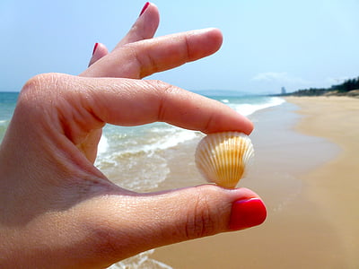 person holding white clamp shell thumbnail