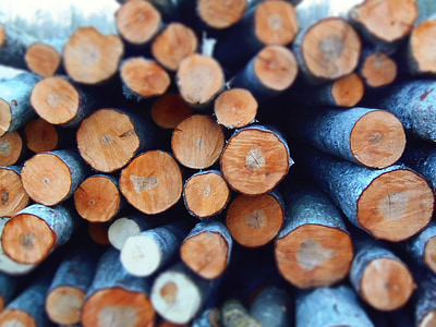 brown and gray firewoods thumbnail