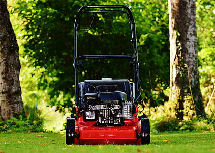 red and black gas push mower on green lawn near tall trees thumbnail