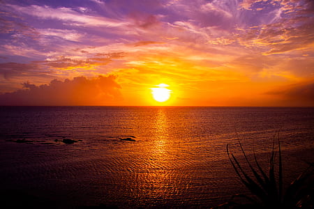 calm body of water during golden hour thumbnail