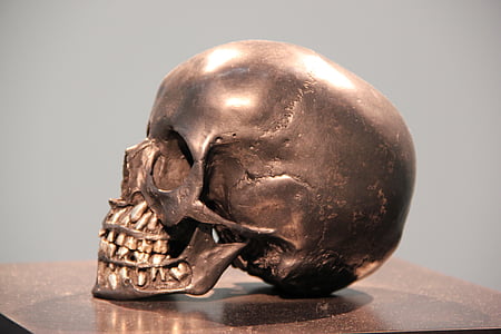 human skull decor on table thumbnail
