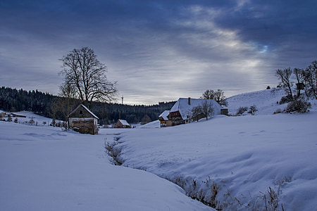 houses with snow thumbnail