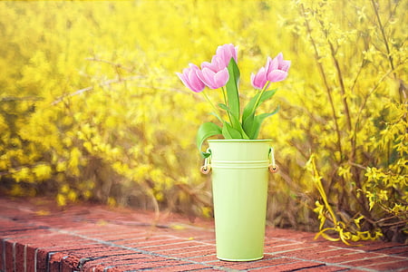 pink petaled flowers in green bucket thumbnail