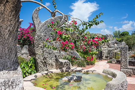 tree branch hanging over water fountain thumbnail