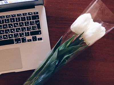 white tulip flowers on silver MacBook thumbnail
