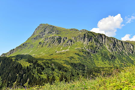 landscape photo of mountain covered with trees thumbnail