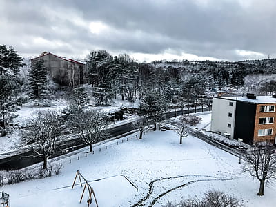 snow covered trees and building under white sky thumbnail