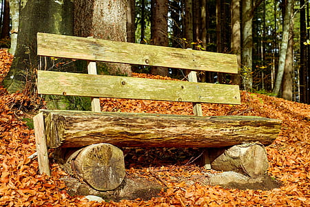 brown wooden log chair during daytime thumbnail