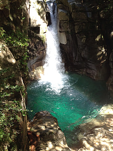 waterfall near trees thumbnail