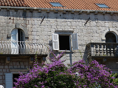 opened white window near purple petaled flowers thumbnail