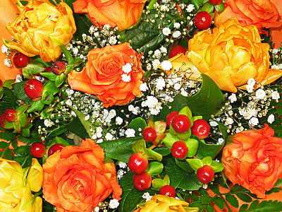 red petaled flowers thumbnail