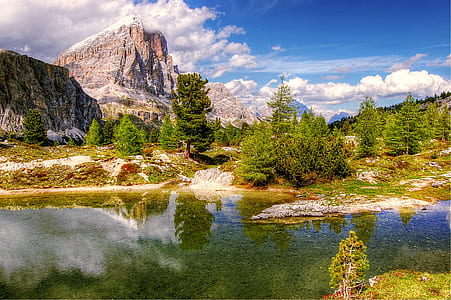 body of water near green leaf trees in daytime thumbnail