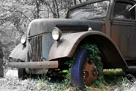 selective focus photography of grass on vehicle wheel near tree thumbnail