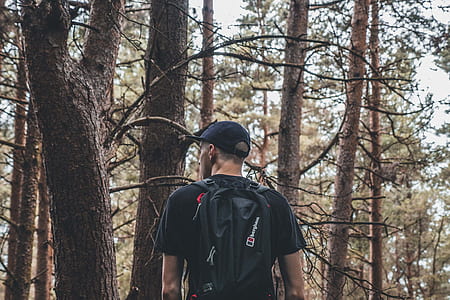 man wearing backpack in forest thumbnail