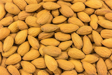 almond nut thumbnail