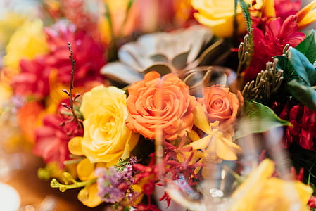 orange and yellow rose flowers thumbnail