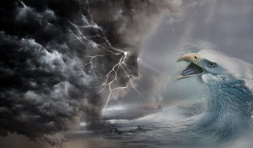 eagle sea wave illustration thumbnail