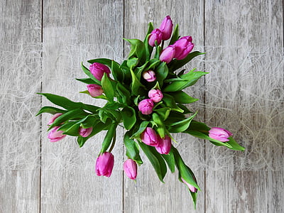 photo of purple tulip flowers in vase thumbnail