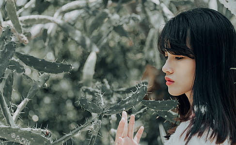 Close-up Photo of Woman Holding Cactus Plant thumbnail