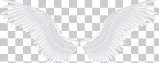 Angel Pattern, White angel wings , pair of white wings PNG clipart