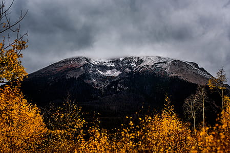 tree near mountain range under stratocumulus clouds thumbnail