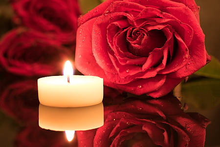 white tealight candle besides red rose thumbnail