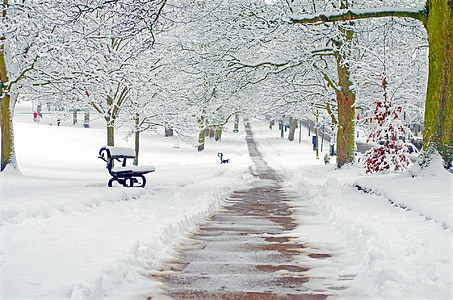 photo of clear path way covered with snow thumbnail