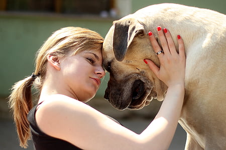 woman holding bullmastiff thumbnail