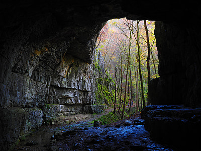 cave entrance near green leaf foresst thumbnail