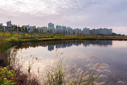 city buildings near body of water during daytime thumbnail