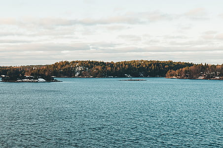 green leafed trees beside body of water during daytime thumbnail