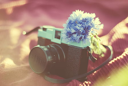 lomo selective focus photography of black and green camera on red textile thumbnail