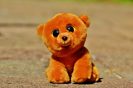 brown bear plush toy thumbnail