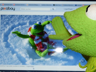 Kermit the frog watching thumbnail