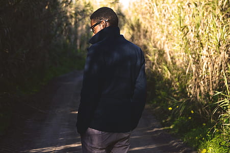 man walking on pathway near corn field thumbnail
