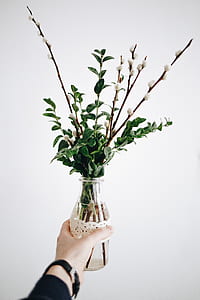 white willow catkin flowers and clear glass vase centerpiece thumbnail