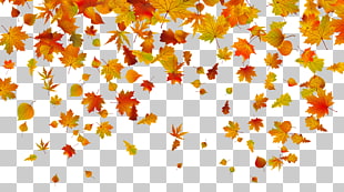 Autumn leaf color , Transparent Fall Leaves , maple leaves illustration PNG clipart